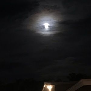 Meet your Posher, Adamari